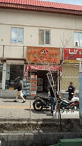 پروتئین رضا