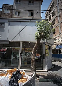 پروتئین حاتم