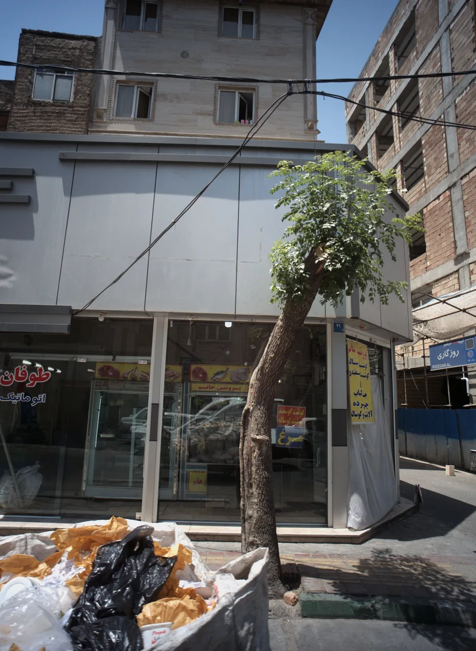 پروتئین حاتم