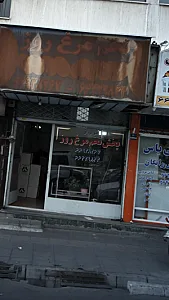 پخش تخم مرغ روز