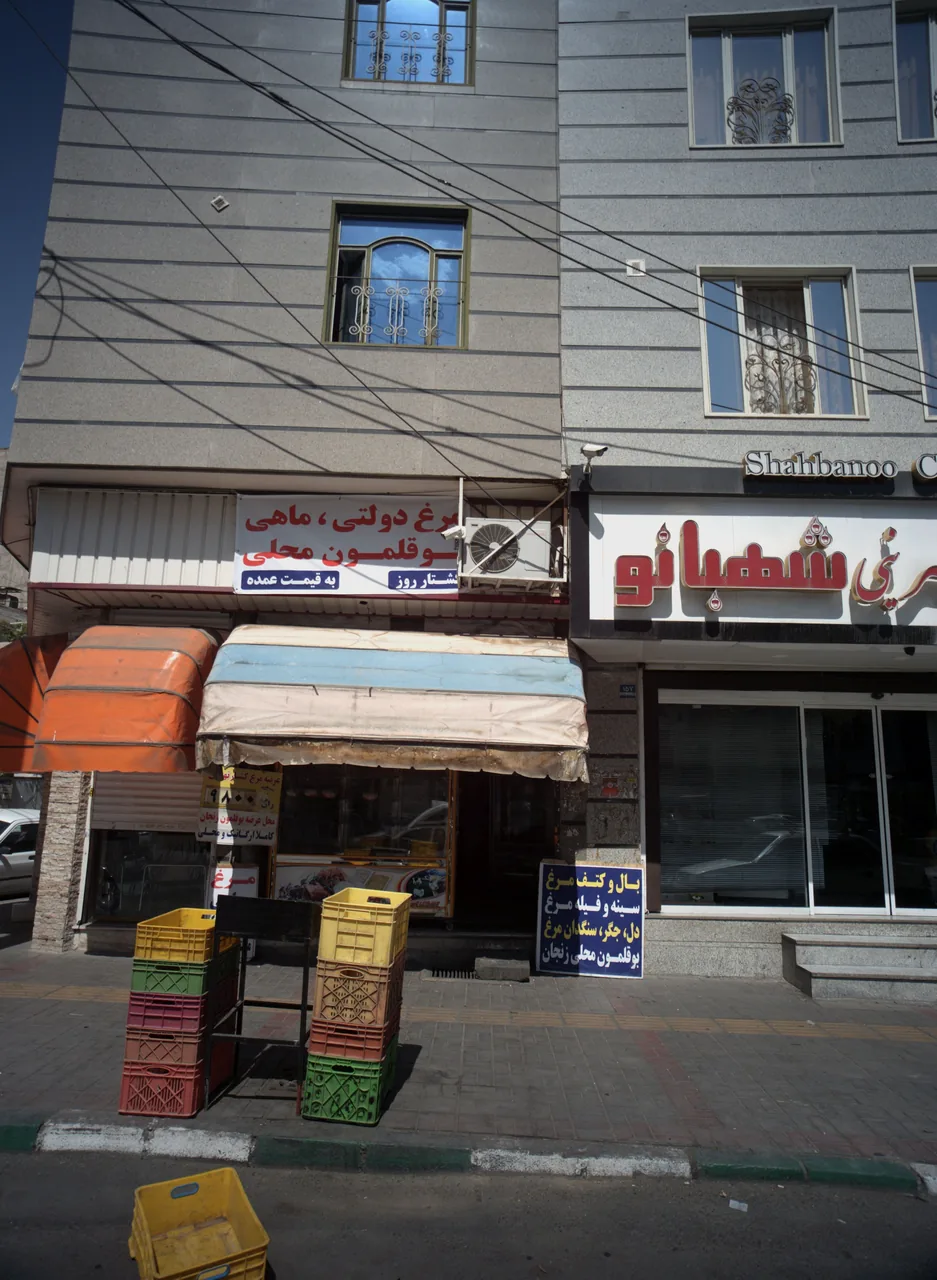 مرغ دولتی ماهی بوقلمون محلی