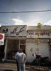 پروتئین پسر