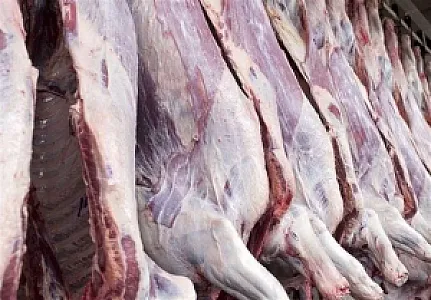 سوپرگوشت عادل