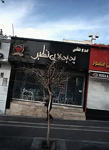 پروتئین پدیده بی نظیر