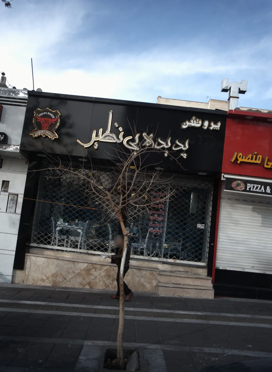 پروتئین پدیده بی نظیر