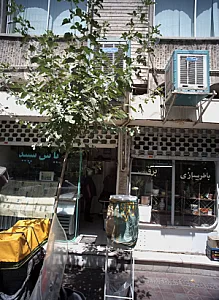 یاس سپید