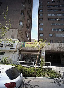 فروش میگوهای زینتی