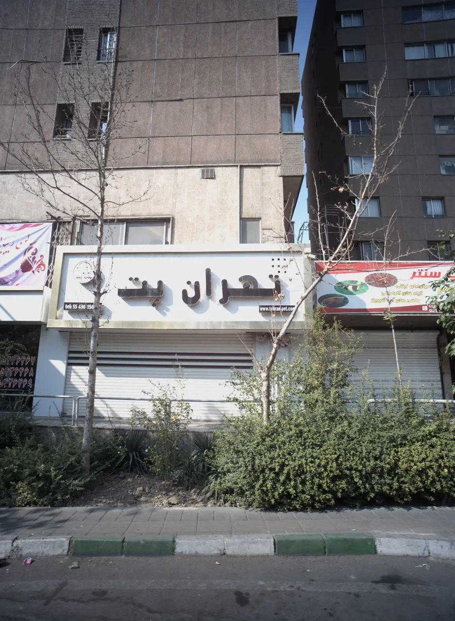 فروش میگوهای زینتی - تصویر 2