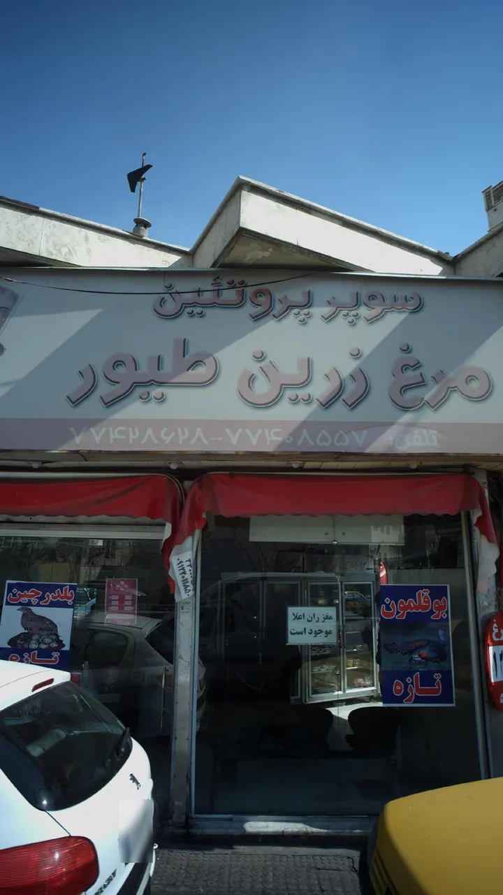 سوپرپروتئین مرغ زرین طیور - تصویر 3