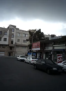 پروتئین گل گندم