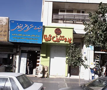 پروتئین ژینا