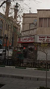 پروتئین دلسا