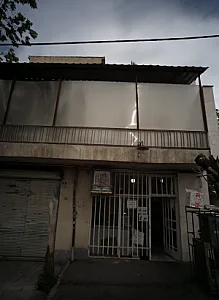 پروتئین طلایی