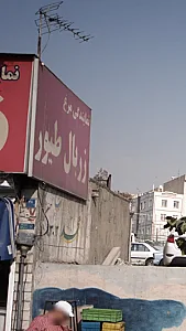 نمایندگی مرغ زربال طیور