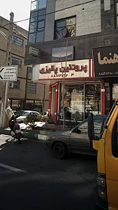 پروتئین پالیزی