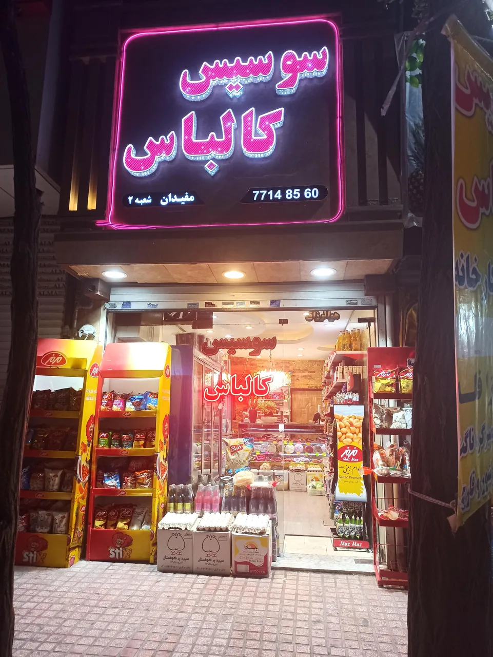پروتین مفیدان