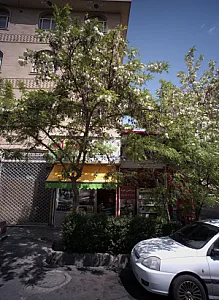 پروتئین مزه