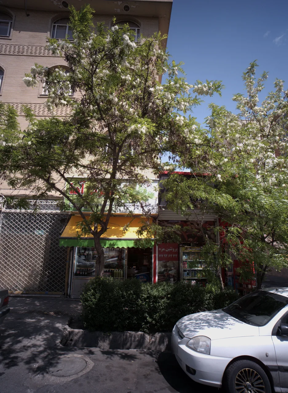 پروتئین مزه