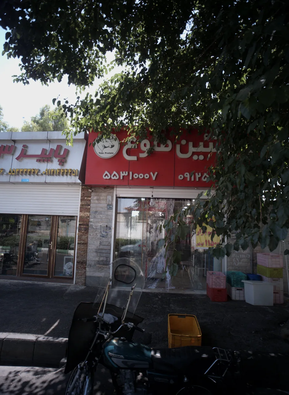 پروتئین طلوع