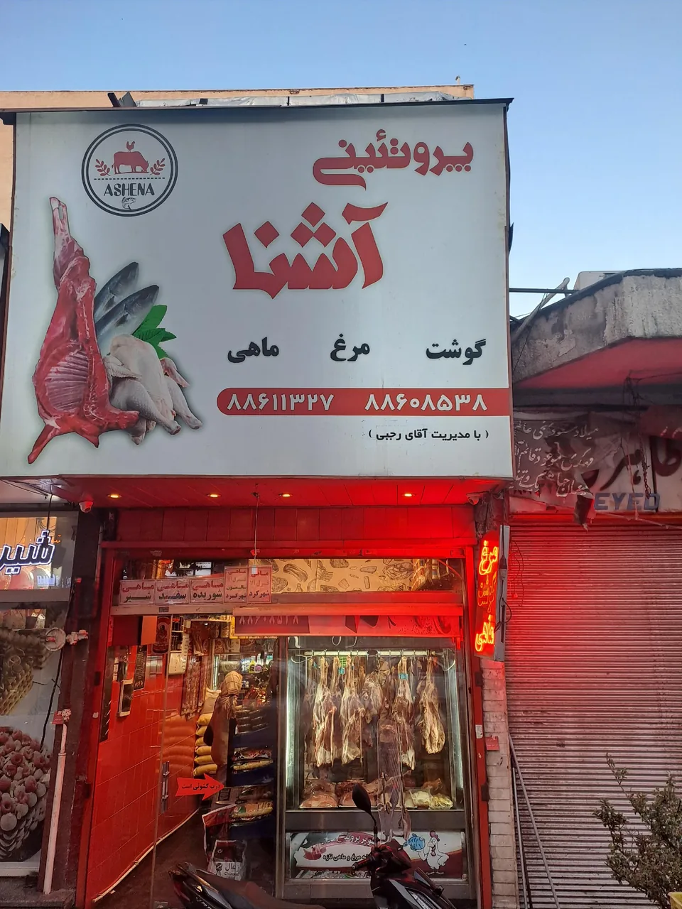 پروتئین آسنا