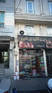 پروتئین پرشین