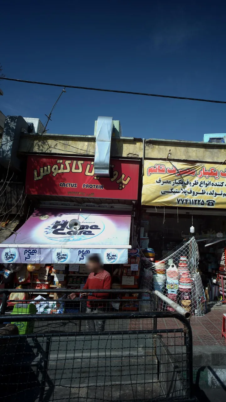 پروتئین کاکتوس - تصویر 2
