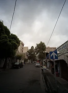 پروتئین سعید