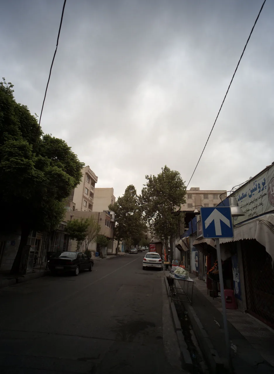 پروتئین سعید