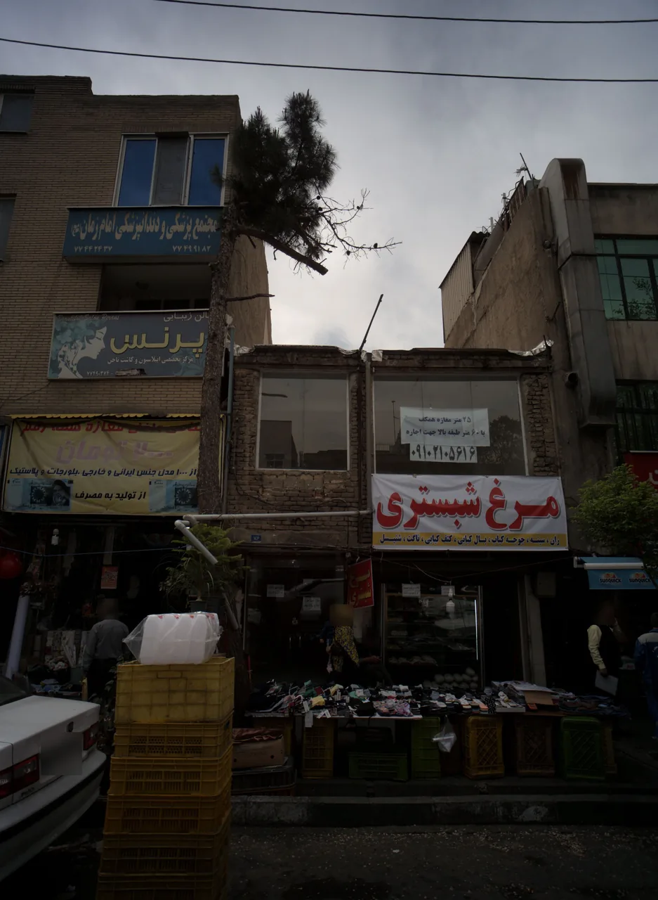 مرغ شبستری
