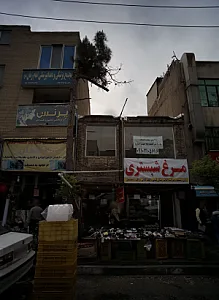 مرغ شبستری