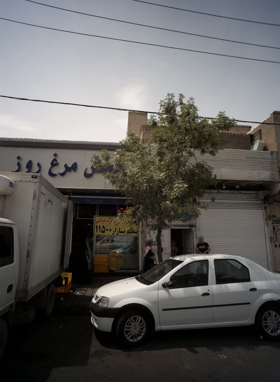 پخش مرغ روز