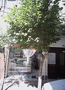 سوپرگوشت رضا - گوشت، مرغ و پروتئینی در تهران