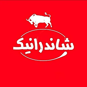 پروتئین سرو