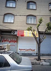 پروتئین سید