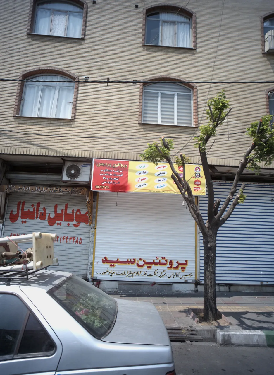 پروتئین سید
