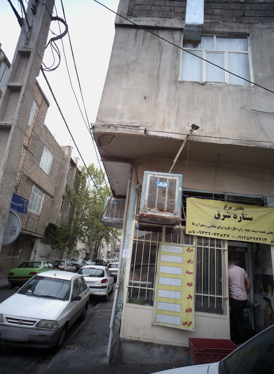 پخش مرغ ستاره شرق