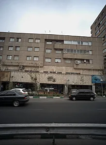 سان فیش
