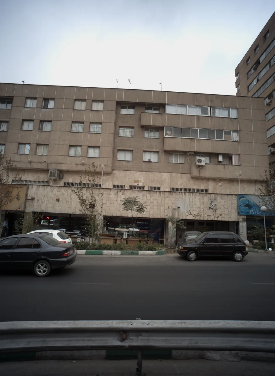 سان فیش
