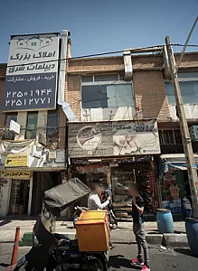 پروتئین صدف