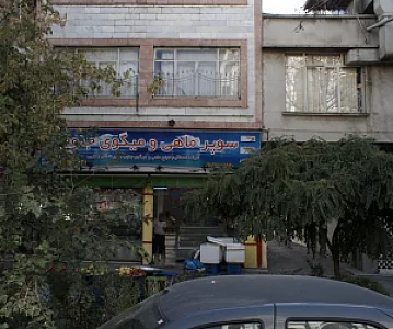سوپر ماهی و میگوی جنوب