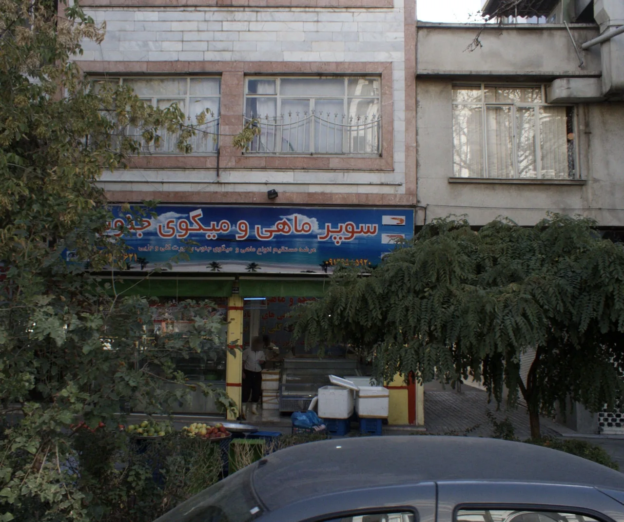 سوپر ماهی و میگوی جنوب