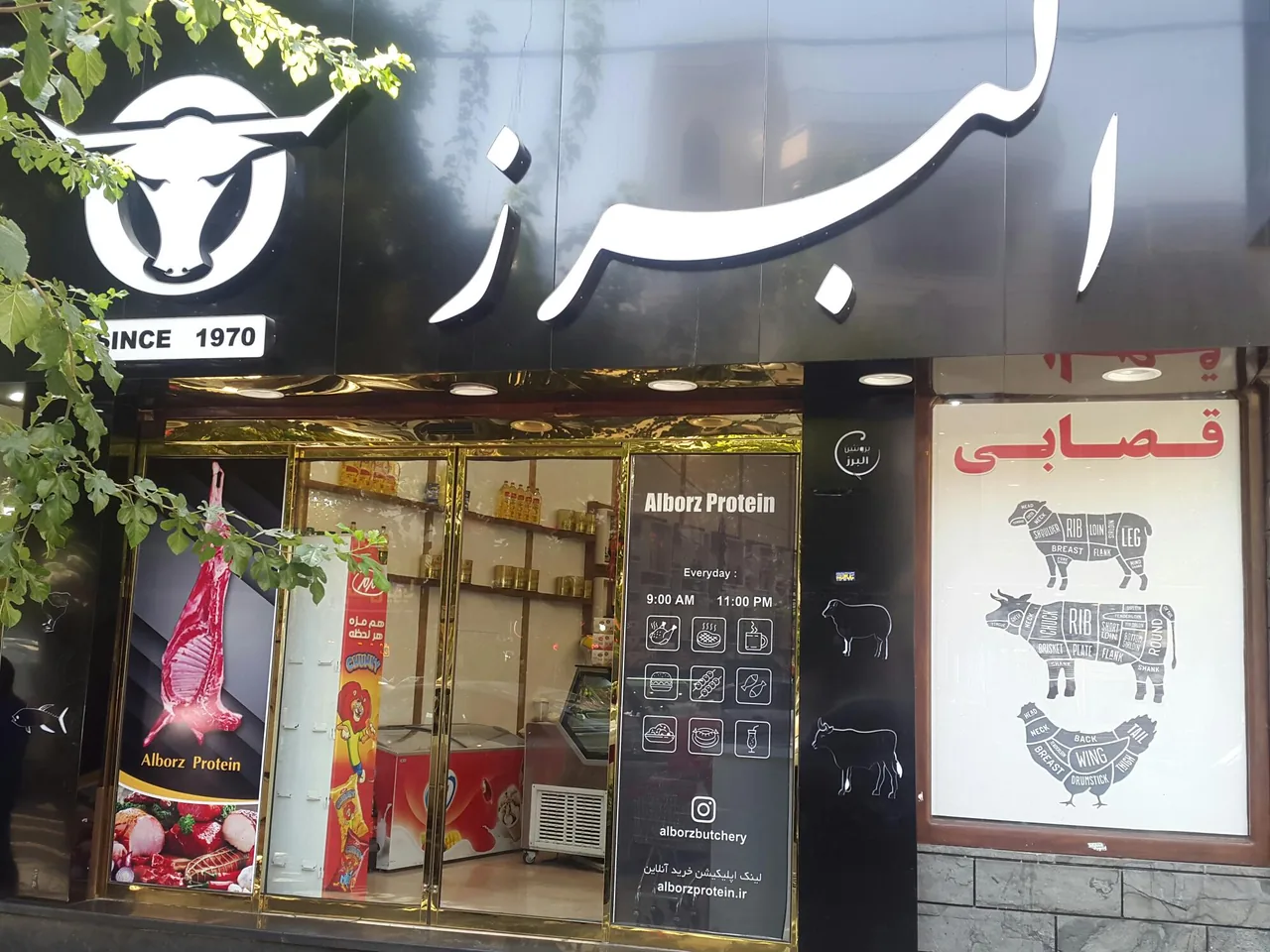 پروتئین البرز