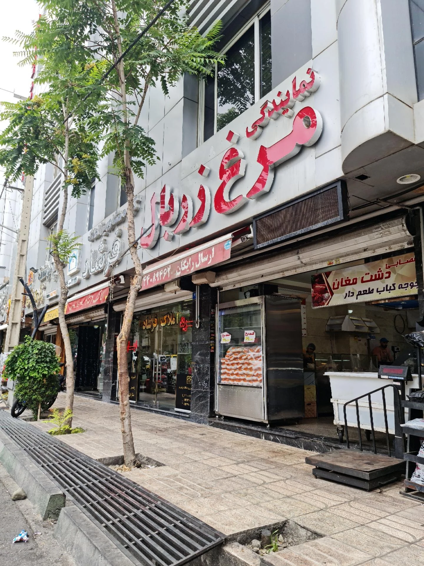 رادین پروتئین - تصویر 2