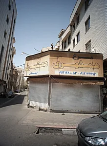 مرغ همشهری