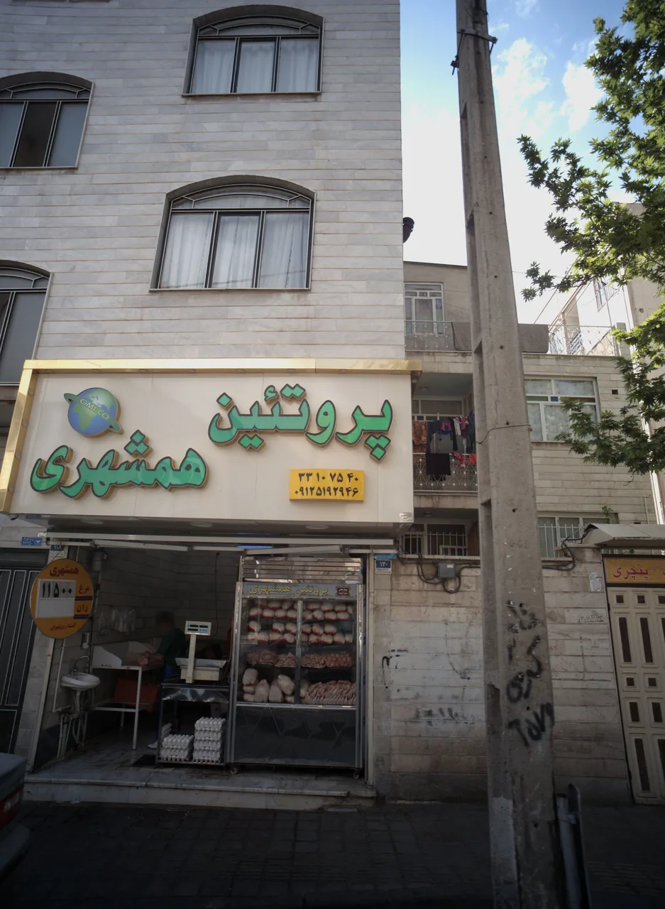 پروتئن همشهری