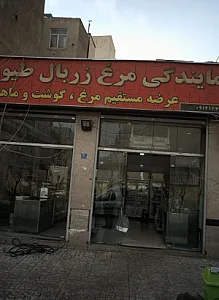 نمایندگی مرغ زربال طیور