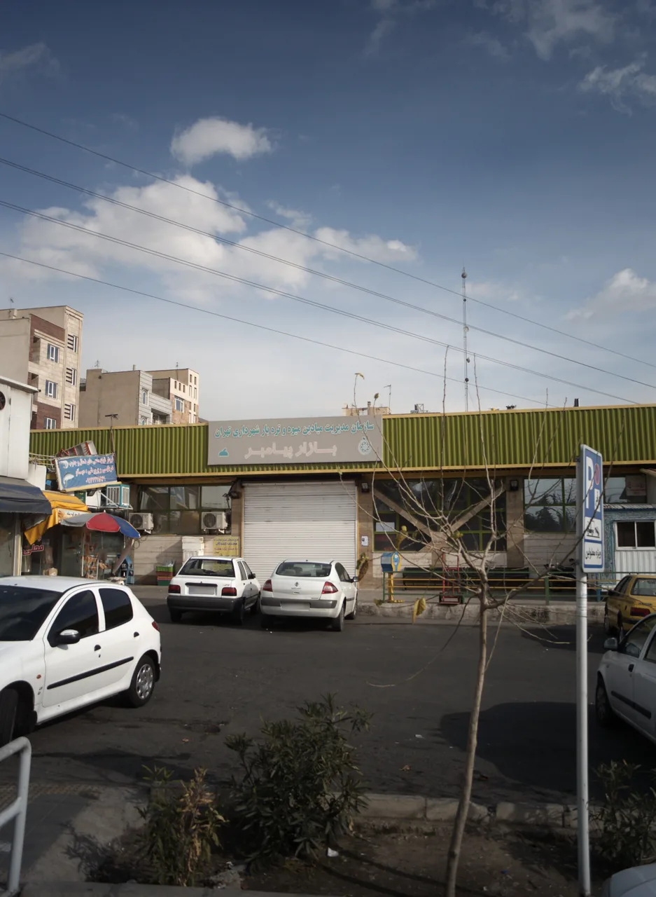 فروش ماهی شمال و جنوب و میگو