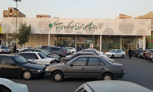 بازار ماهی جلال (پدیده پروتئین)