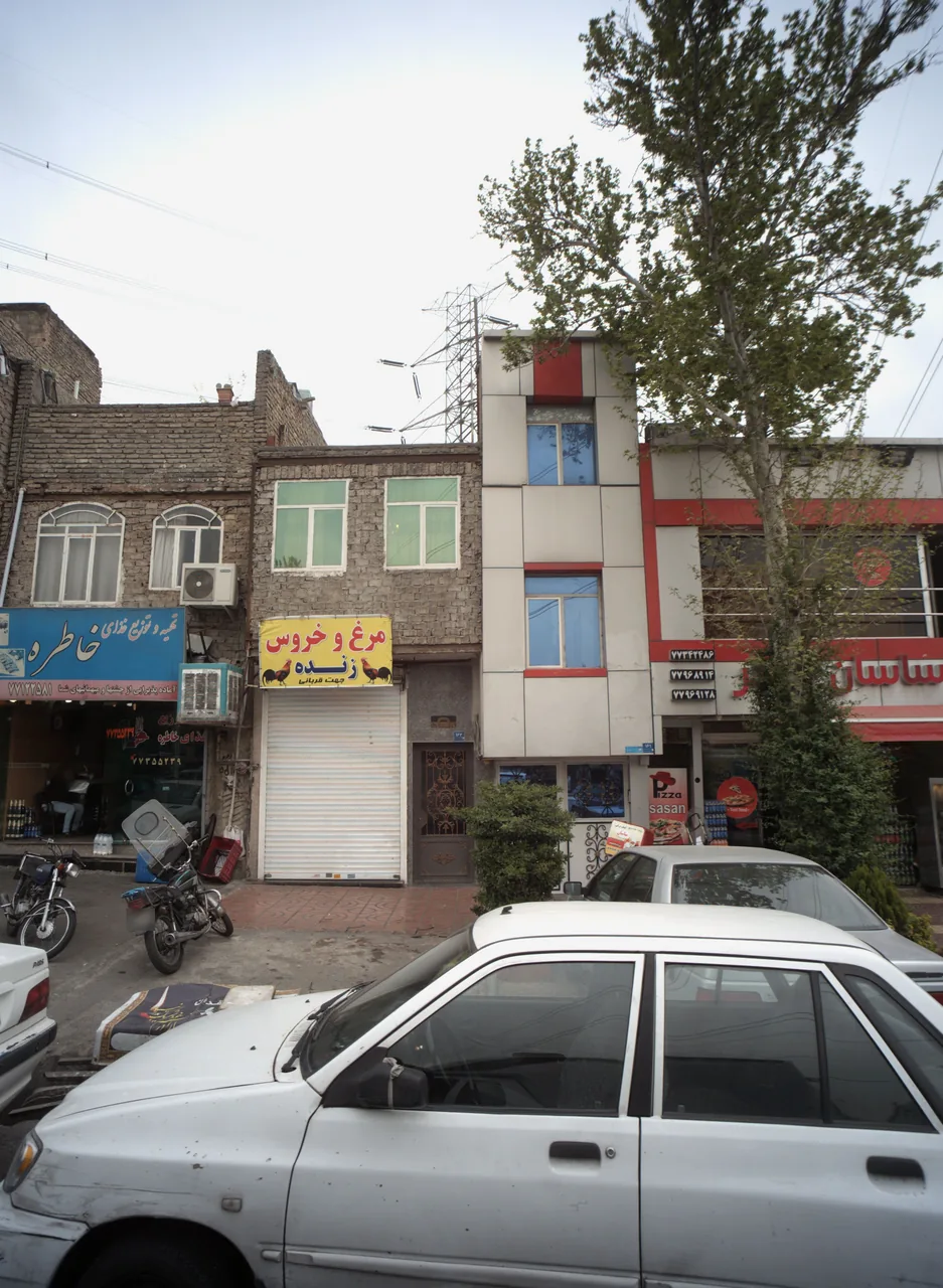 مرغ و خروس زنده