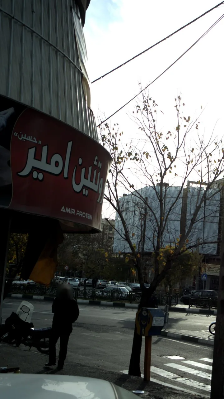 پروتئین امیر